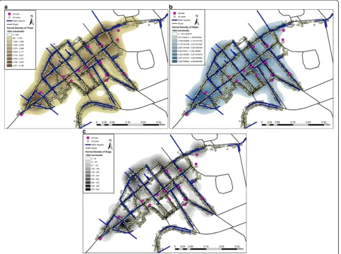 Figure 3 Kernel density maps of three variables related to health risks extracted from the spatial video
