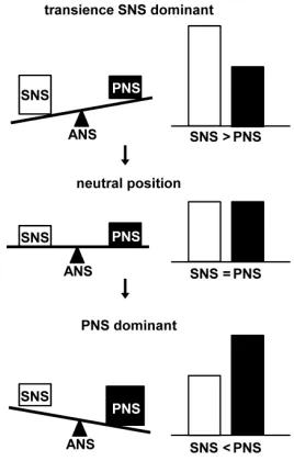 Figure 6. Image of the power ba- lance between the SNS and PNS. Sympathetic Nervous System (SNS) dominant status induced by DZ app- lication was transient