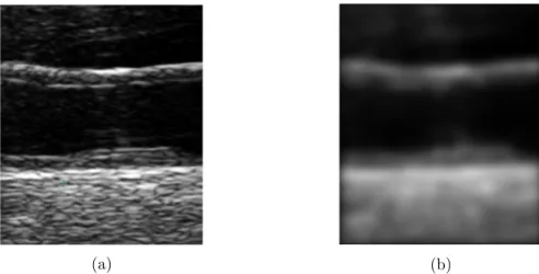 Figure 11: Example of an image after applying the Gaussian smoothing filter. (a) Original image