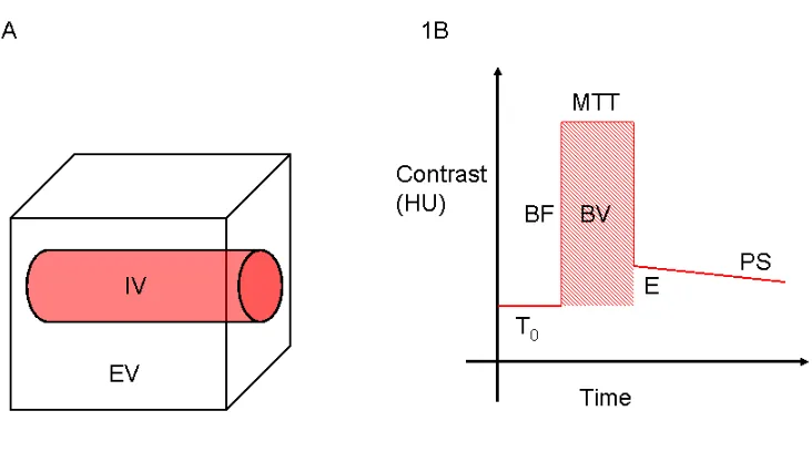 Figure 1: Johnson-Wilson impulse response function. 