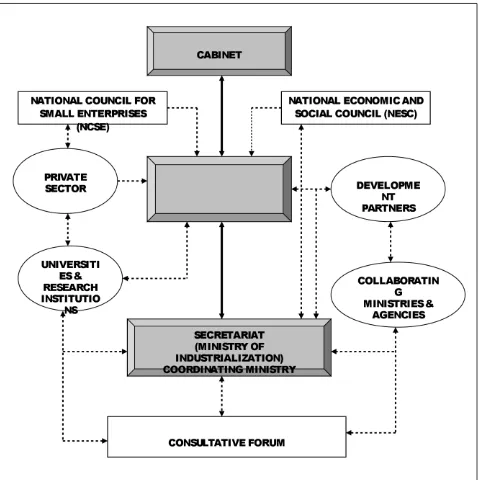 Figure 6: National Industrialization: The new institutional framework 