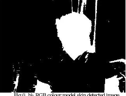 Fig (i, A) illustrates the web captured image i.e., input image which is given as the input for the pre-processing stage so that the skin detected image is obtained