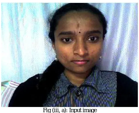 Fig (iii, a): Input image 