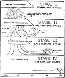 Figure 3: Outflow stages of thunderstorm (Wakimoto, 1982) 