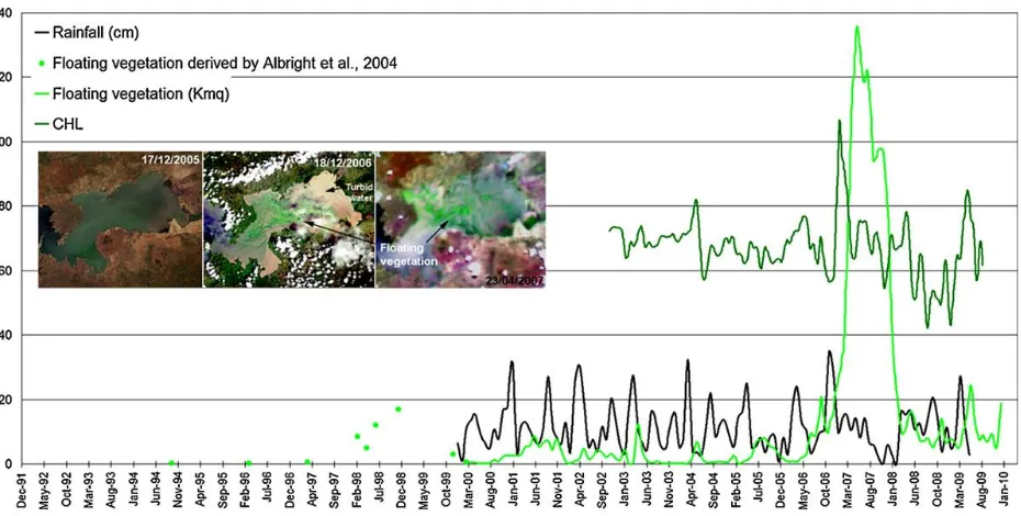 Figure 5.7: Temporal comparison between the floating vegetation evolution and rainfall, for the decade 2000–2009