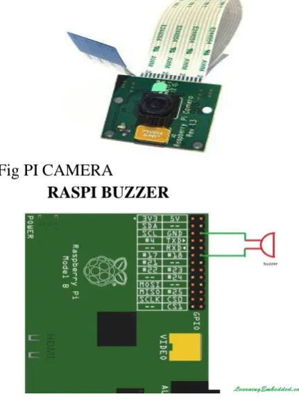 Fig PI CAMERA 