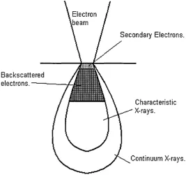 Figure 2.1.4. An electron beam impinging on a sample.
