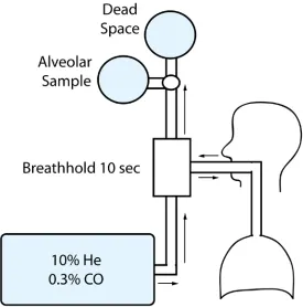 Figure 1-8   Measurement of the Diffusing Capacity of the Lung for Carbon Monoxide The subject inhales a mixture of 10% helium and 0.3% CO, holds his/her breath for 10 seconds then exhales