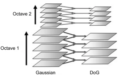 Figure 2. DoG pyramid structure. 