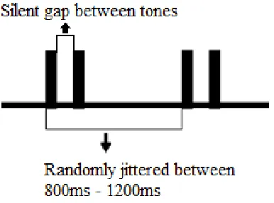 Figure 1. Stimulus Paradigm 