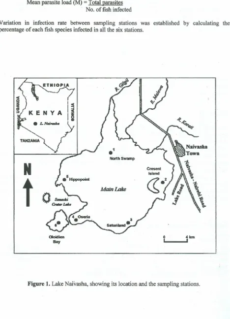 Figure 1. Lake Naivasha, showing its location and the sampling stations.