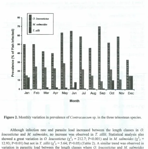 Figure 2. Monthly variation in prevalence of Contracaecum