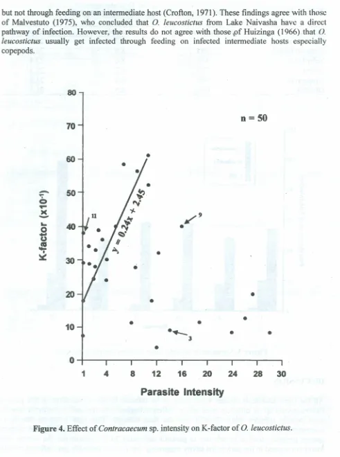 Figure 4. Effect of Contracaecum sp. intensity on K-factor of 0. leucostictus.