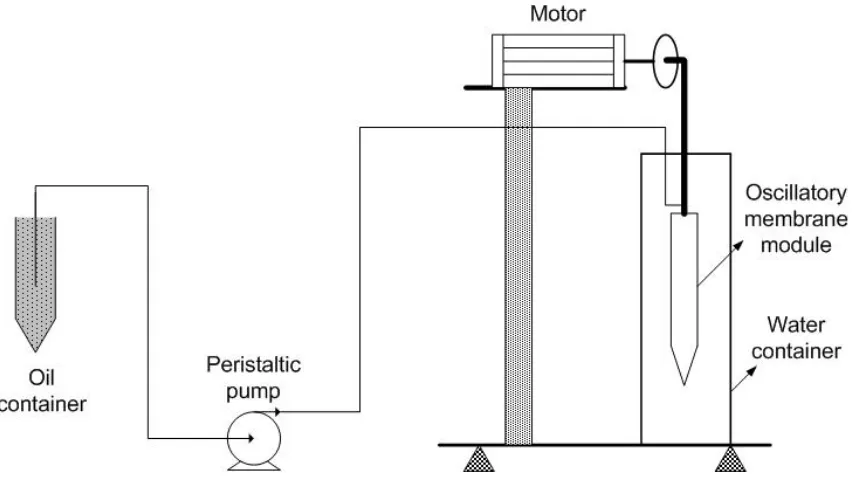 Figure 3.1 Schematic diagram of the oscillatory micro-screen module 