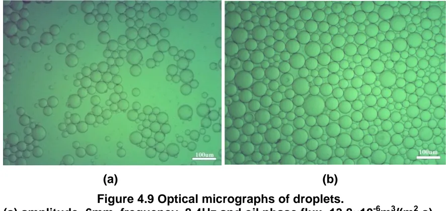 Figure 4.9 Optical micrographs of droplets. (a) amplitude=6mm, frequency=8.4Hz and oil phase flux=13.8×10