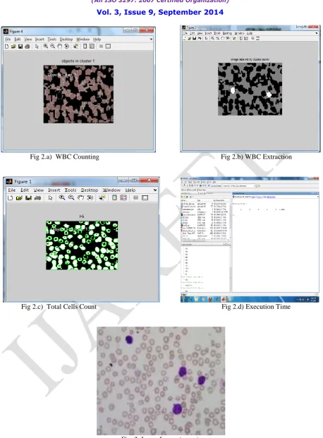 Fig. 3  Input  Image (c.png)  