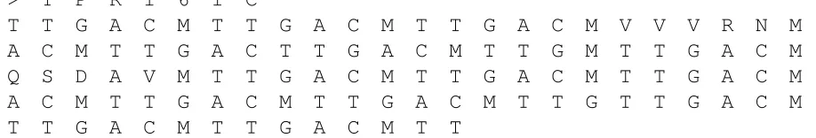 Figure 2.3: A protein in FASTA format.