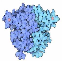 Figure 2.5: Domain-Domain Interaction. From: [31]
