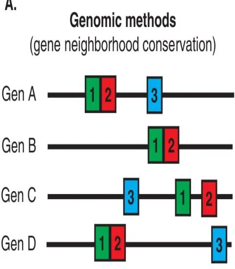 Figure 2.8: Genomic approach. From: [15]