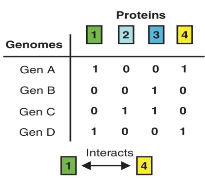 Figure 2.9: Phylogenetic proﬁles approach. From: [15]