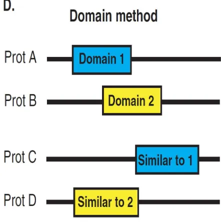 Figure 2.10: Protein structure approach. From: [15]