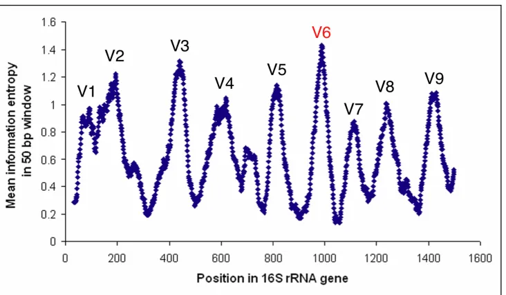 Figure 1-3. Variability within the 16S rRNA gene 