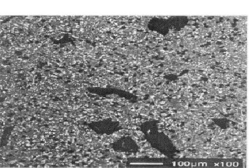 Figure-4. Microstructures of hybrid composite containing 10% SiC and 4% graphite particles