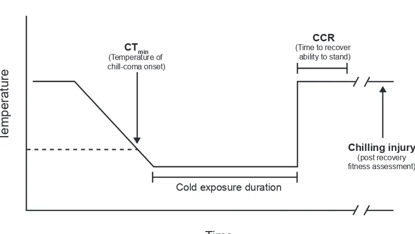 Figure 1.1. Terminology of cold tolerance measures typically quantified in a chill-susceptible insect in the laboratory