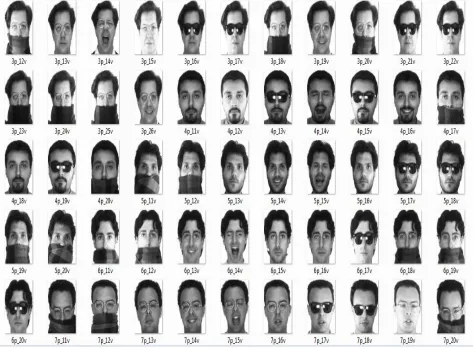 Fig. 1 Sample images from AR Face database 