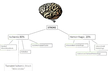 Figure 1 Stroke Subtypes   