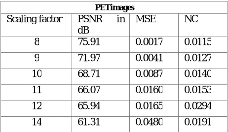 Table 1: MRI  images   