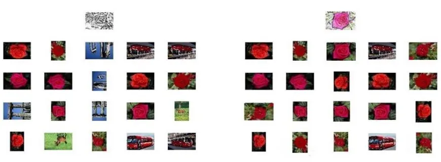 Fig 3: Shows Top 20 retrieved images of SBIR and CSBIR based on rose image as query image 