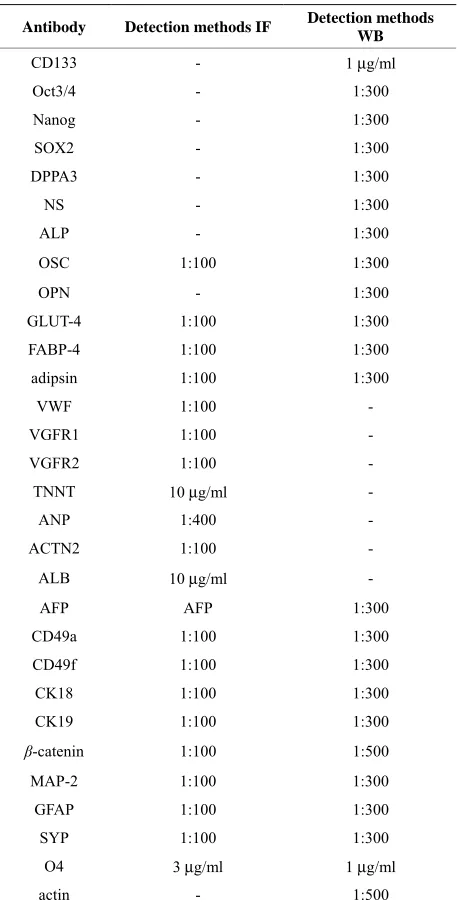 Table 1. Antibodies used for Immunofluorescence (IF) and Western blot (WB) analyses. 