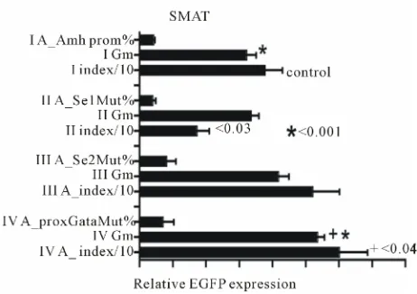 Figure 1. Data which confirms that an Amh promoter with a mutated Se1 element shows a significantly lower response Index than the control group and an increased EGFP expres-sion Index when the proxGata element was mutated