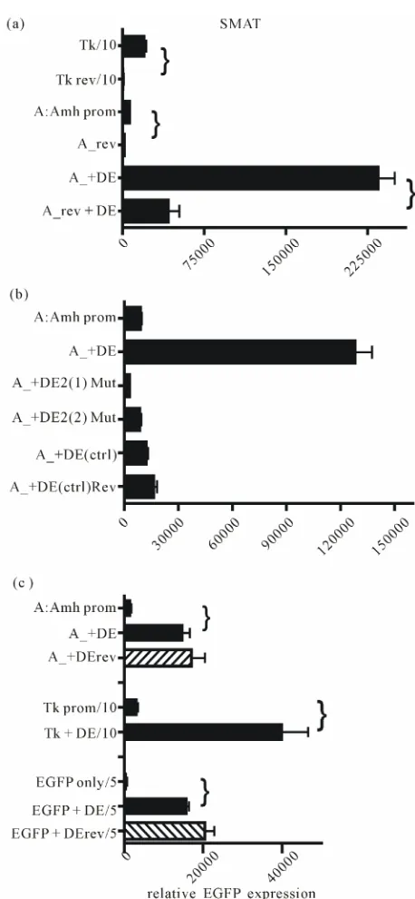 Figure 4(a)tion of DE2 or replacement of the entire 89 nt of the en- 