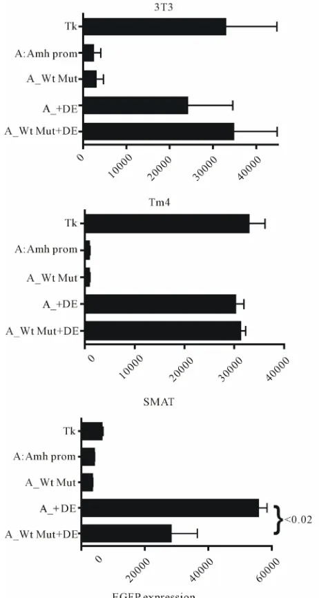 Figure 8promoter with mutated Wt and the presence of DE was 