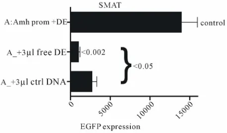 Figure S2. Experiments which confirm that free DE DNA interferes with the interaction of DE with the Wilms tumour factor element in the promoter of Amh used to drive the ex-pression of the reporter gene (EGFP)