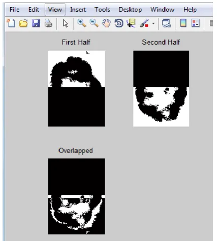 Figure 1.5: Bisection of the image in upper and lower part with an overlap image to get asymmetry
