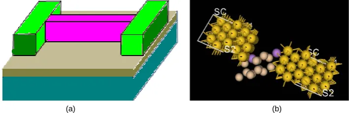 Figure 1. (a) Schematic of SiNW model, (b) view of SiNW with dopant in virtual NanoLab