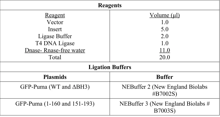 Table 2 -  Ligation