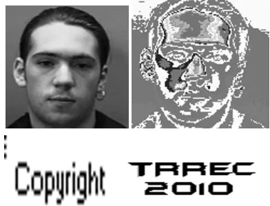 Fig.3. Labels of image blocks with different types ( T = 16). The black block, gray block, and white block in Figures 5(a)-(f) correspond to the blocks compressed by VQ, SMVQ, and Arnold decoding, respectively