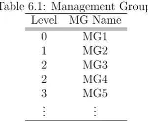 Table 6.1: Management Groups