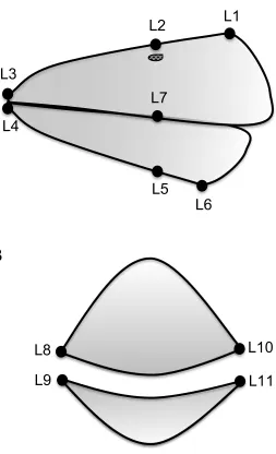 Figure 4 – A schematic diagram illustrating the three bill measures (length, width and depth) taken from each of the upper and lower bill of all males