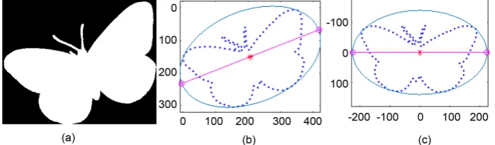 Figure 1. The shape and its contour. (a) original shape; (b) sample result; (c) after aligned