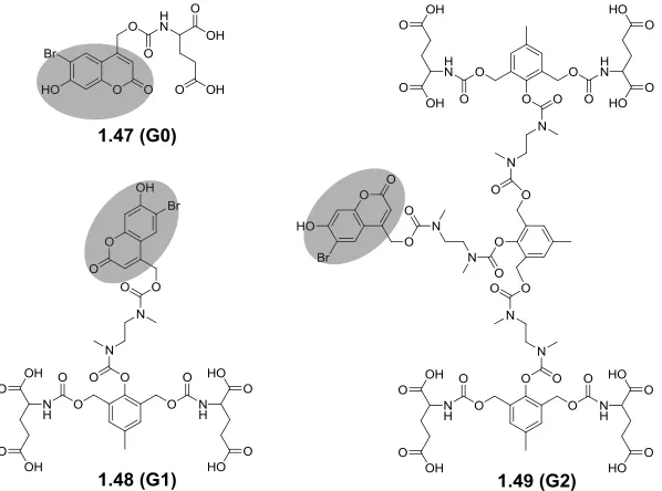 Figure 1.20. Structures of photodegradable dendrimers containing coumarin as NIR 