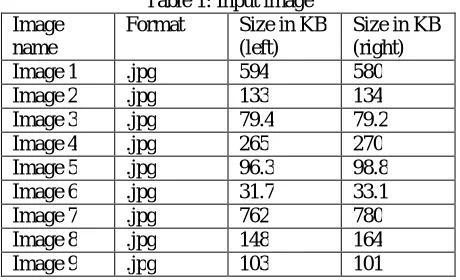 Table 1: Input image Format  