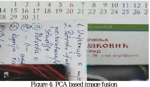 Figure 4: PCA based image fusion 