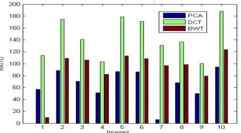 Table 3 and figure 6 has the comparative analysis of standard deviation between three techniques
