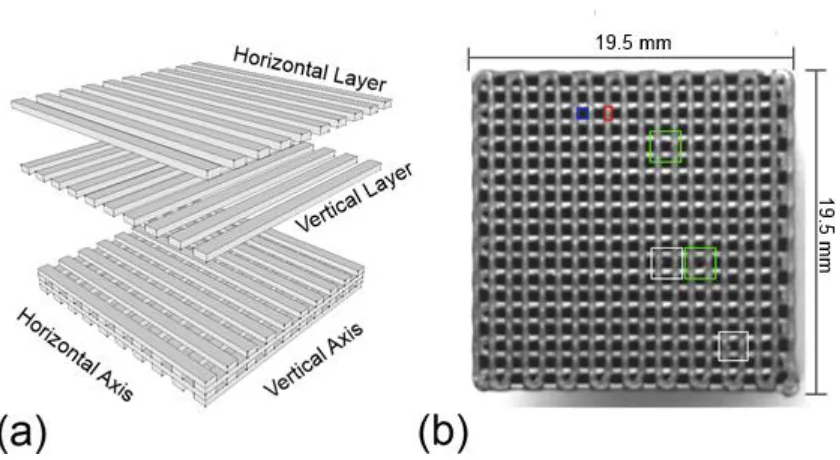 Figure 2-1: Two-dimensional angular filter array made from 3D prototyping. (a) 3D rendering of the AFA construction process with alternating horizontal and vertical parallel walls