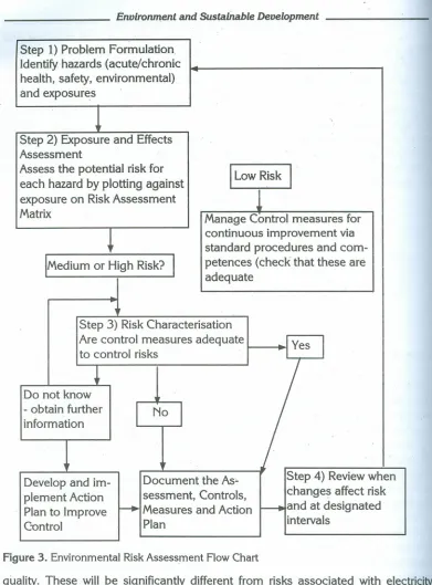 Figure 3. Environmental Risk Assessment Flow Chart